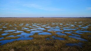 Kesznyéteni agrár-környezetgazdálkodási tanösvény