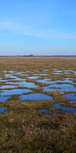Kesznyéteni agrár-környezetgazdálkodási tanösvény