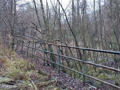 A medence a beruházás megkezdése előtt_LZs