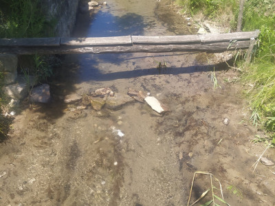 Kácsi-patak a beavatkozás (nádirtás) után