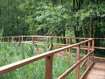 Vizes élőhely bemutatása pallós tanösvényről