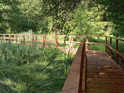 Vizes élőhely bemutatása pallós tanösvényről_2