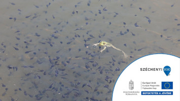 Kisvízi élőhelyek – Források, forráslápok és a kapcsolódó élőhelyek védelme a Bükki Nemzeti Park Igazgatóság működési területén KEHOP-4.1.0-15-2016-00058
