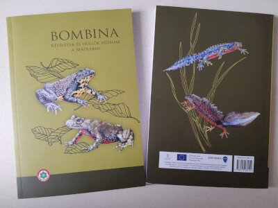 Bombina