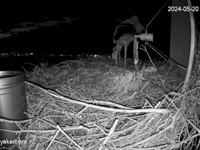 SnapShot-20240520_212638_záptojás_forgatása