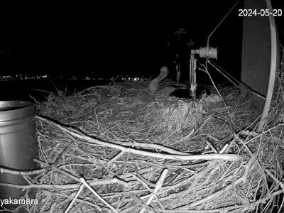 SnapShot-20240520_213824_kotlás_záptojáson