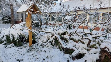 Látogatóhelyeink nyitva tartanak, az ügyfélfogadás szünetel