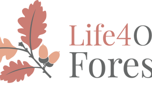 Life4OakForests - Természetvédelmi kezelési eszközök a Natura 2000 tölgyesek biológiai sokfélesége szerkezeti és összetételi növeléséhez.