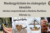 Madárgyűrűzés és cinkegolyó készítés iskolai csoportoknak a Szeleta Parkban