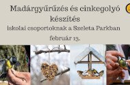 Madárgyűrűzés és cinkegolyó készítés iskolai csoportoknak a Szeleta Parkban