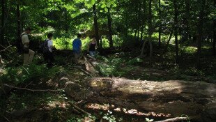 Magyar Nemzeti Parkok Hete: Őserdő túra