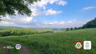 Magyar Nemzeti Parkok Hete - Szakvezetett természetismereti túra a Bolygótúra tanösvényen