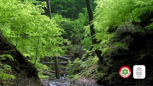 Magyar Nemzeti Parkok Hete: Túra a Gortva-völgyben