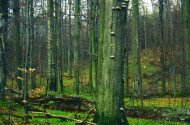Magyar Nemzeti Parkok Hete: Túra az ország tetején