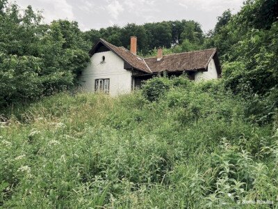 Szitakötő Ház_240622_Budai Roxana