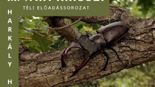 Mátra Kincsei Téli Előadássorozat a Harkály Házban