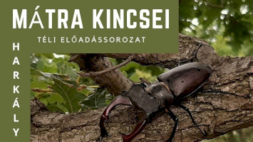 Mátra Kincsei Téli Előadássorozat a Harkály Házban