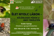 Mátra Kincsei téli előadássorozat - Élet nyolc lábon, különleges pókok a BNPI területén