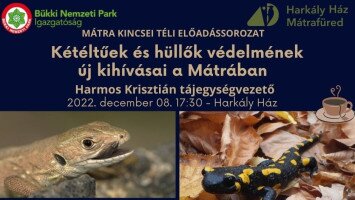Mátra Kincsei téli előadássorozat - Kétéltűek és hüllők védelmének új kihívásai a Mátrában