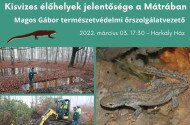 Mátra Kincsei Téli Előadássorozat – Kisvizes élőhelyek jelentősége a Mátrában