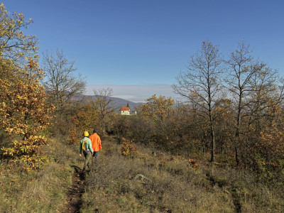 sárhegy_B_49428