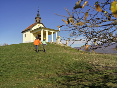 sárhegy_B_49473