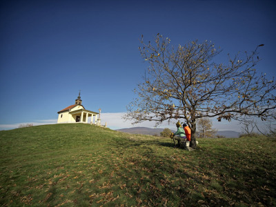 sárhegy_B_49490