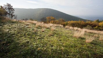 Mátra Protected Landscape Area