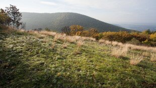 Mátra Protected Landscape Area