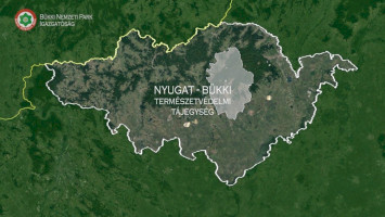 Medvék nyomában a Nyugat-Bükk területén