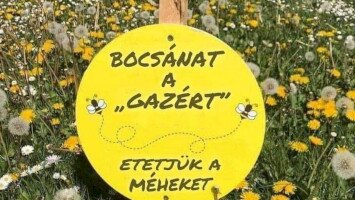 Miért nincs annyi rovarmaradvány a szélvédőkön, mint azelőtt?