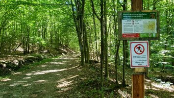Módosultak a turistautak a Csörgő-völgy Erdőrezervátumban
