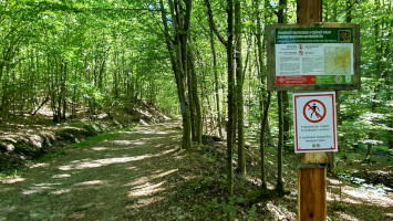 Módosultak a turistautak a Csörgő-völgy Erdőrezervátumban