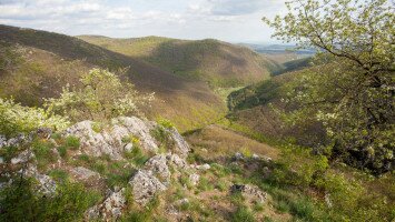 Natura 2000 díj döntős az ECO KARST projekt