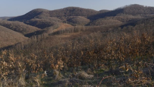 Natura 2000 fórum a Gyepes-völgyről