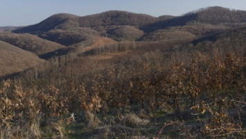 Natura 2000 fórum a Gyepes-völgyről