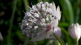 név nem lehet üres