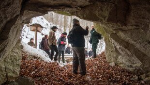 New Year's tree trunk cave tour to the Miocene prehistoric world for border crossers
