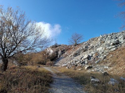 IMG_20241115_124104