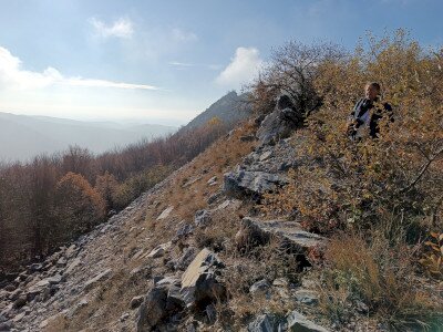 IMG_20241115_125425