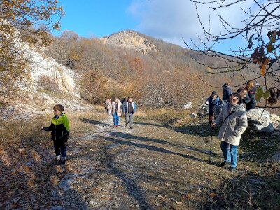 IMG_20241115_131308