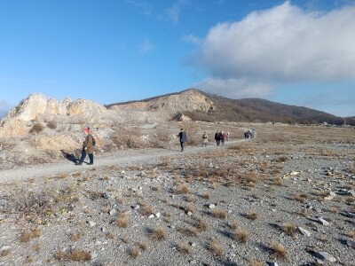 IMG_20241115_132544