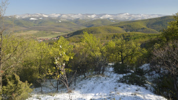 Online természetismereti feladatok