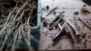 Őrizzük meg régi gyümölcsfajtáinkat – Újra oltónapok a Bükki Nemzeti Park Igazgatóságnál