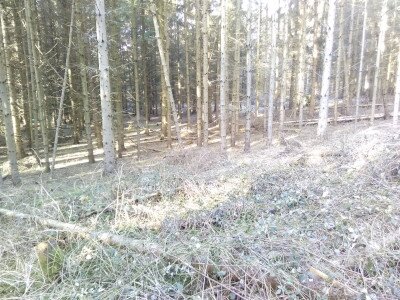 IMG_20240202_105411