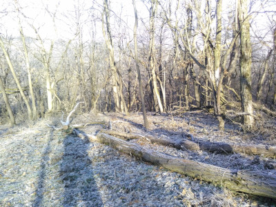 IMG_20240130_095259