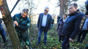 Összehangolt munka a biodiverzitás megőrzéséért