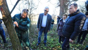 Összehangolt munka a biodiverzitás megőrzéséért