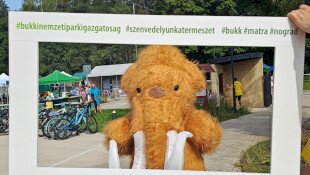 Partneri programcsomagok