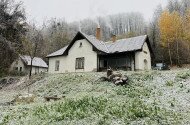 Novemberi madárgyűrűzés a Szitakötő Háznál